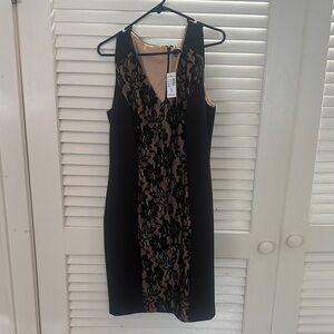 dressbarn Elegant Black and Tan Lace Midi Dress